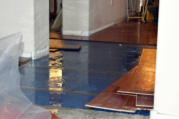 Professional Water Damage Restoration technician working in Locust Fork, AL